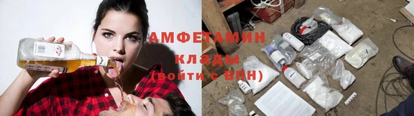 PSILOCYBIN Верхний Тагил