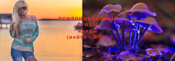 PSILOCYBIN Верхний Тагил