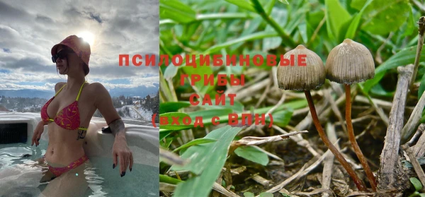 дмт Володарск