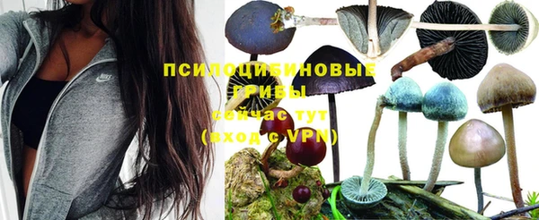 дмт Володарск