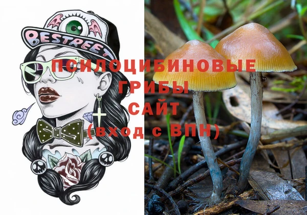дмт Володарск